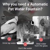 Rechargeable Cat Water Fountain – Fresh, Flowing Water for Healthy, Happy Pets