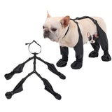 Pawguard Pro Dog Boots – Waterproof, Non-Slip Protection for Every Step