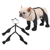 Pawguard Pro Dog Boots – Waterproof, Non-Slip Protection for Every Step