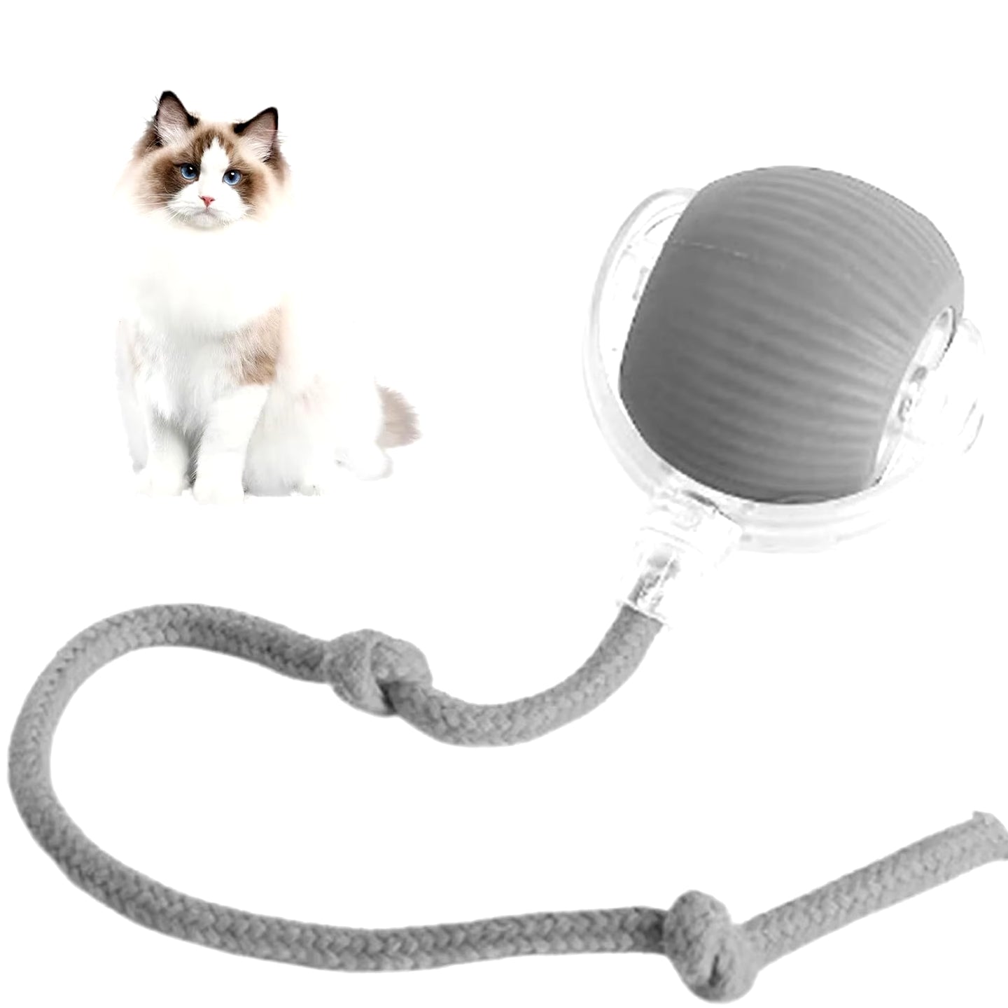 Lettuce Interactive Rolling Ball – Smart, Rechargeable Fun for Cats & Dogs