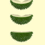 Durian Shaped Toy Hair Remover In The Corner Pet Products Cat Supplies